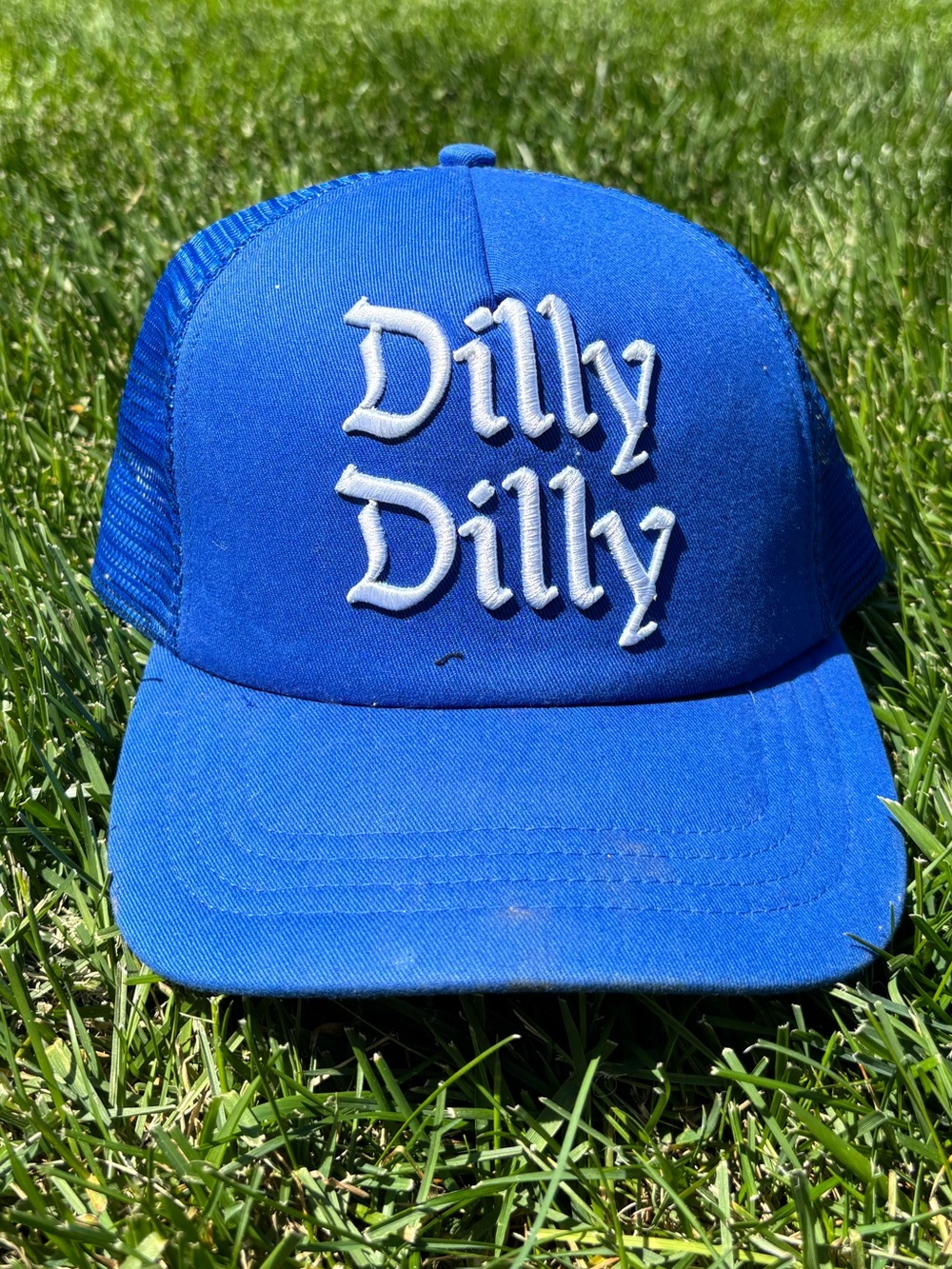Dilly Dilly Blue Trucker Hat - Unbranded